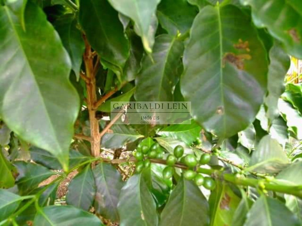 Chacara rural em tuiuti - sp, jardim maranata - foto 25
