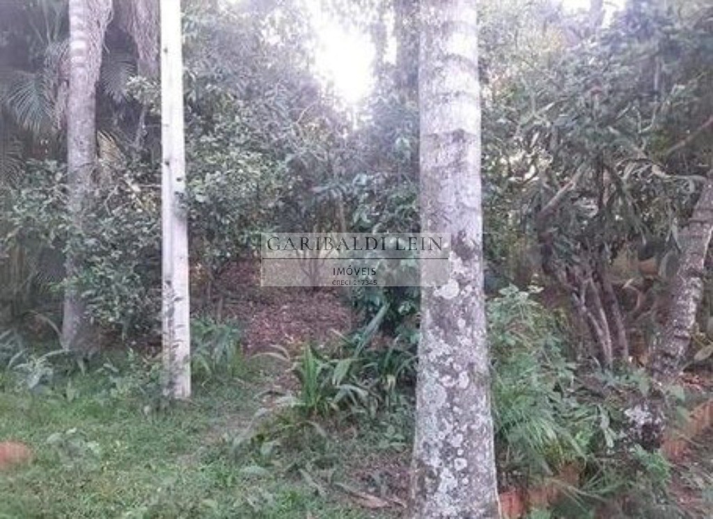 Chácara, 3 quartos, 4300 m² - Foto 19