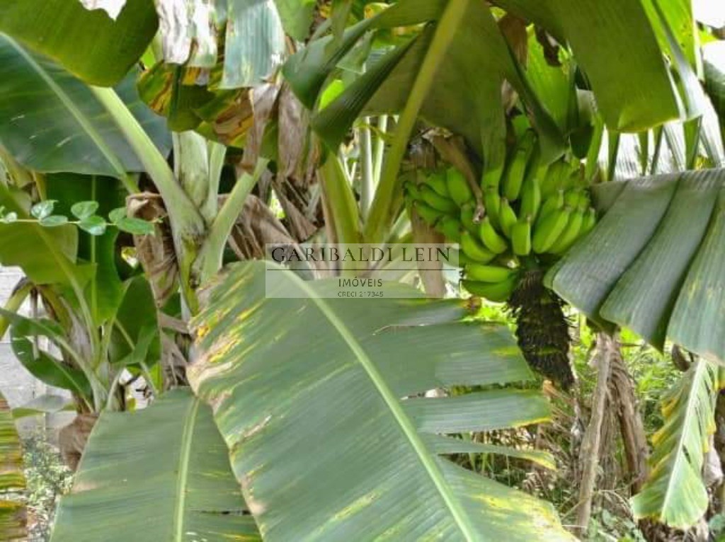 Chacara rural em tuiuti - sp, jardim maranata - foto 26