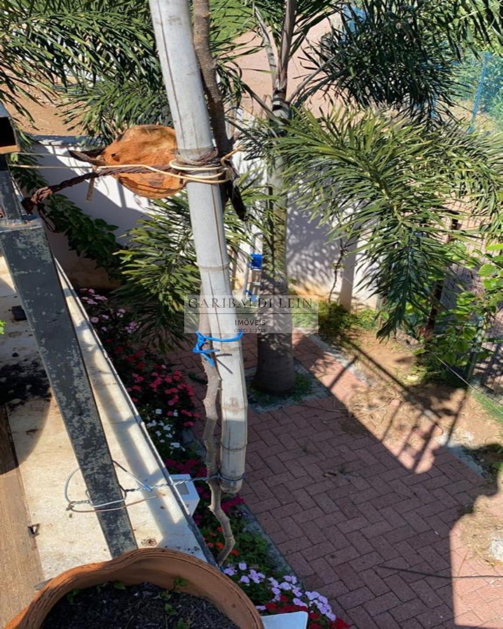 Casa residencial em campinas - sp, swiss park