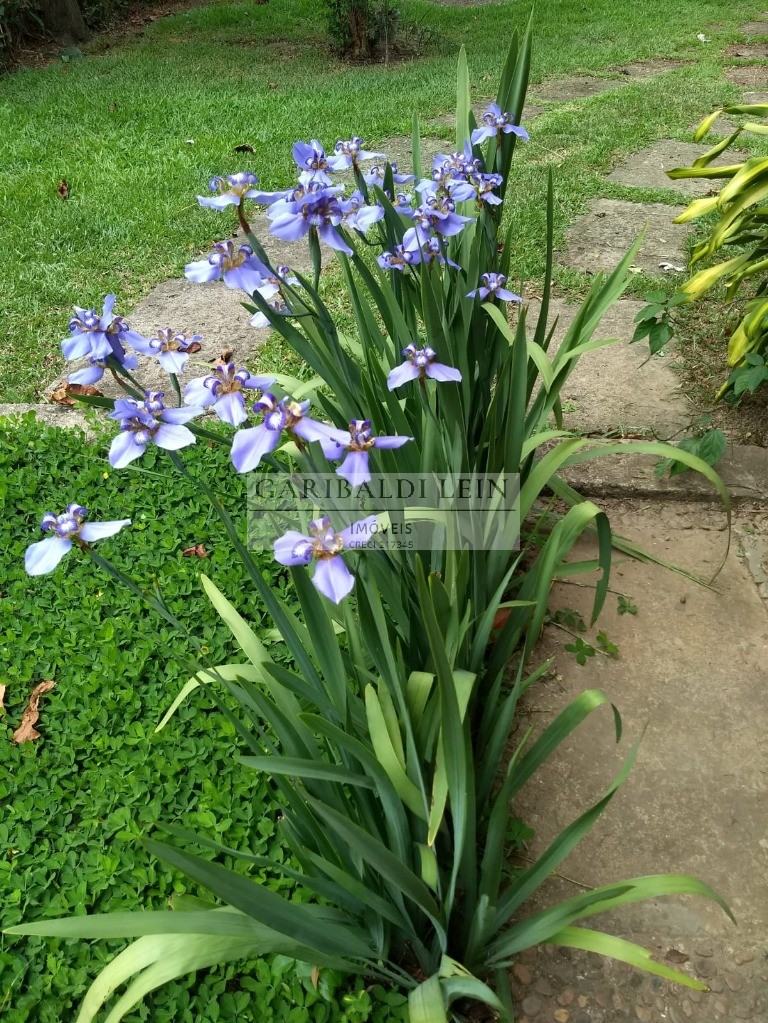 Chacara rural em campinas - sp, loteamento chácaras vale das