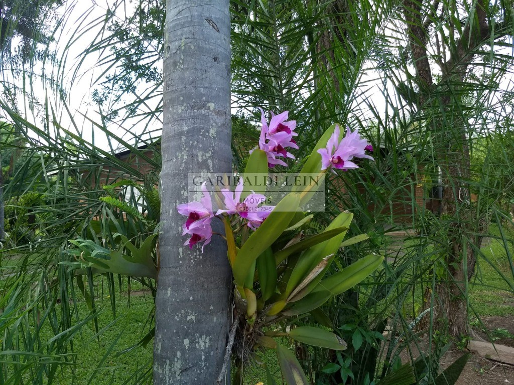 Chacara rural em campinas - sp, loteamento chácaras vale das