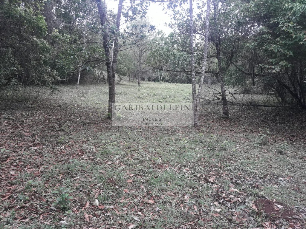 SITIO RURAL em São Tomás de Aquino - MG, AGUA RASA