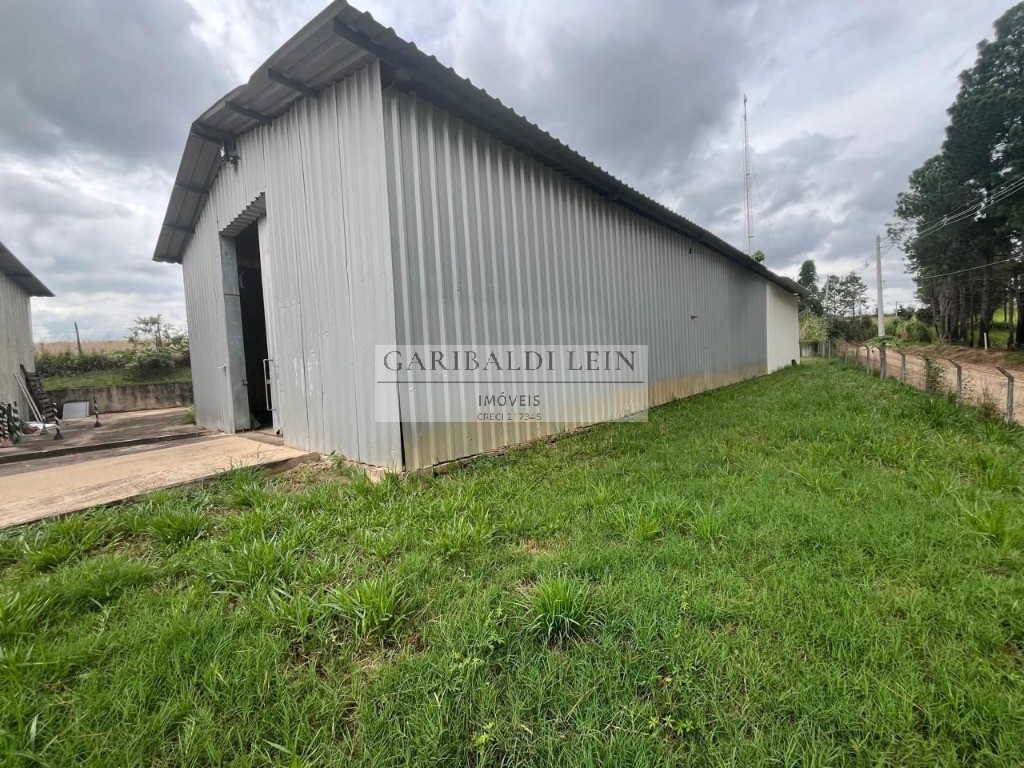 Chácara, 4 quartos - Foto 5