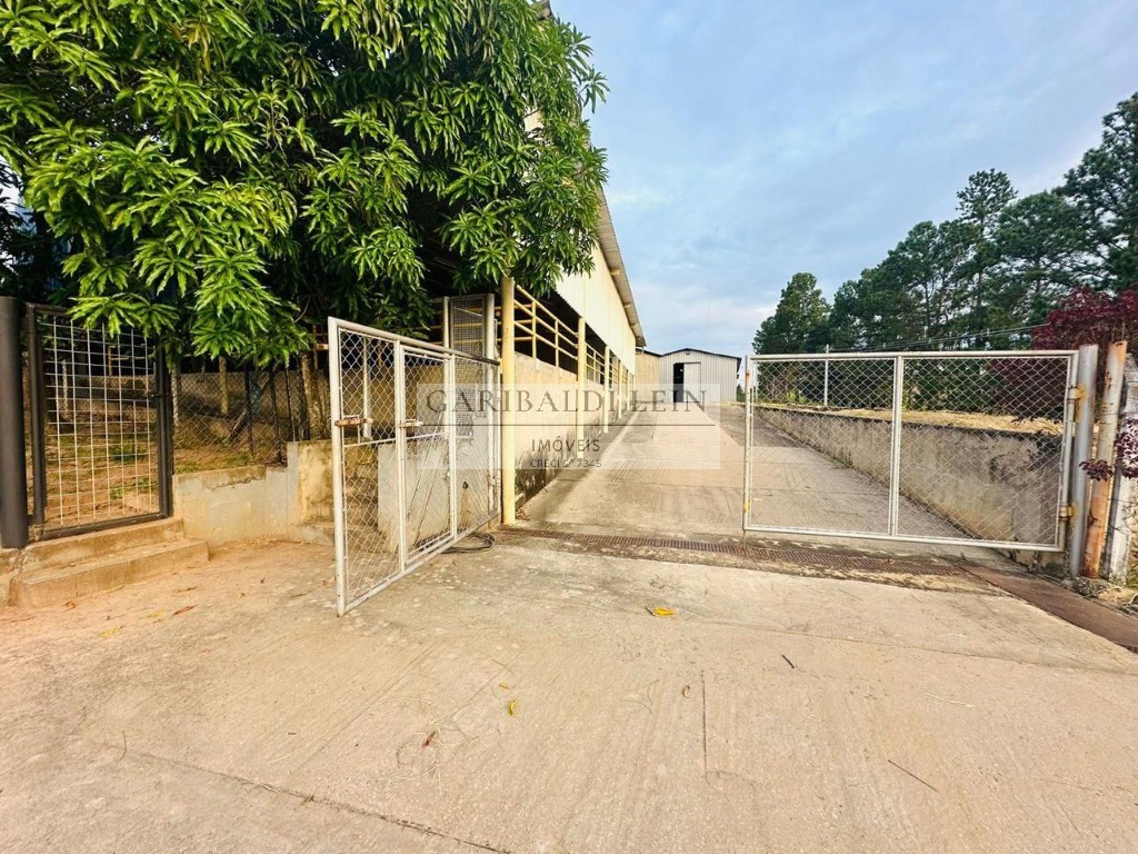 Chácara, 4 quartos - Foto 4