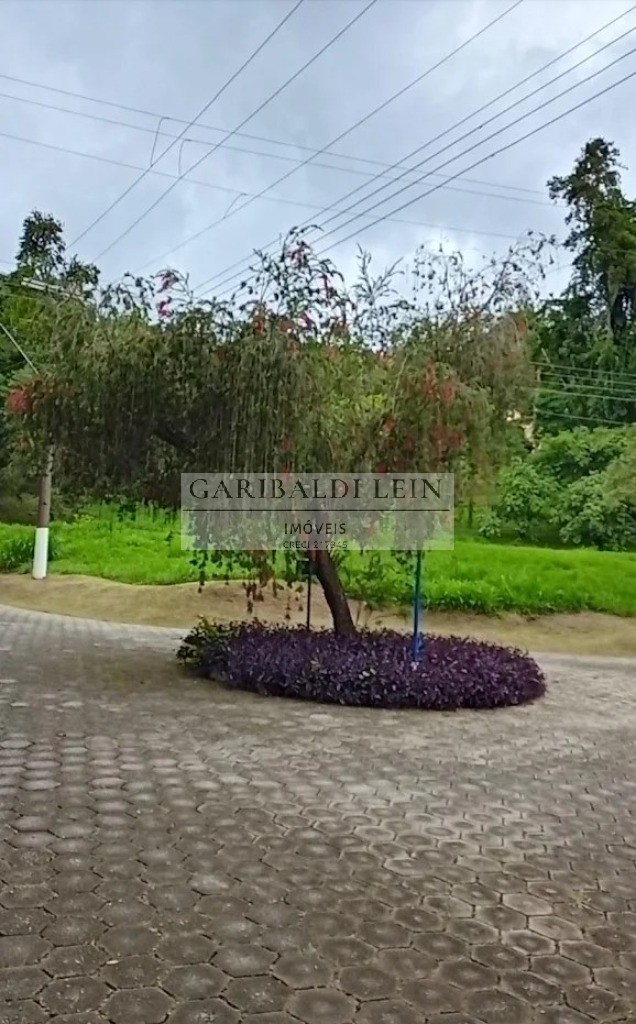 Casa, 4 quartos, 500 m² - Foto 48