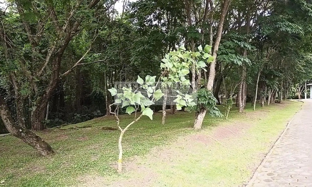 Casa, 4 quartos, 500 m² - Foto 49