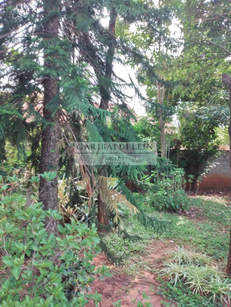 Casa, 4 quartos, 182 m² - Foto 27