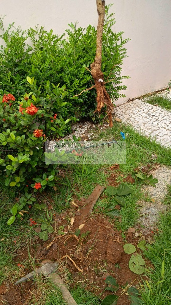 Casa, 3 quartos, 247 m² - Foto 30