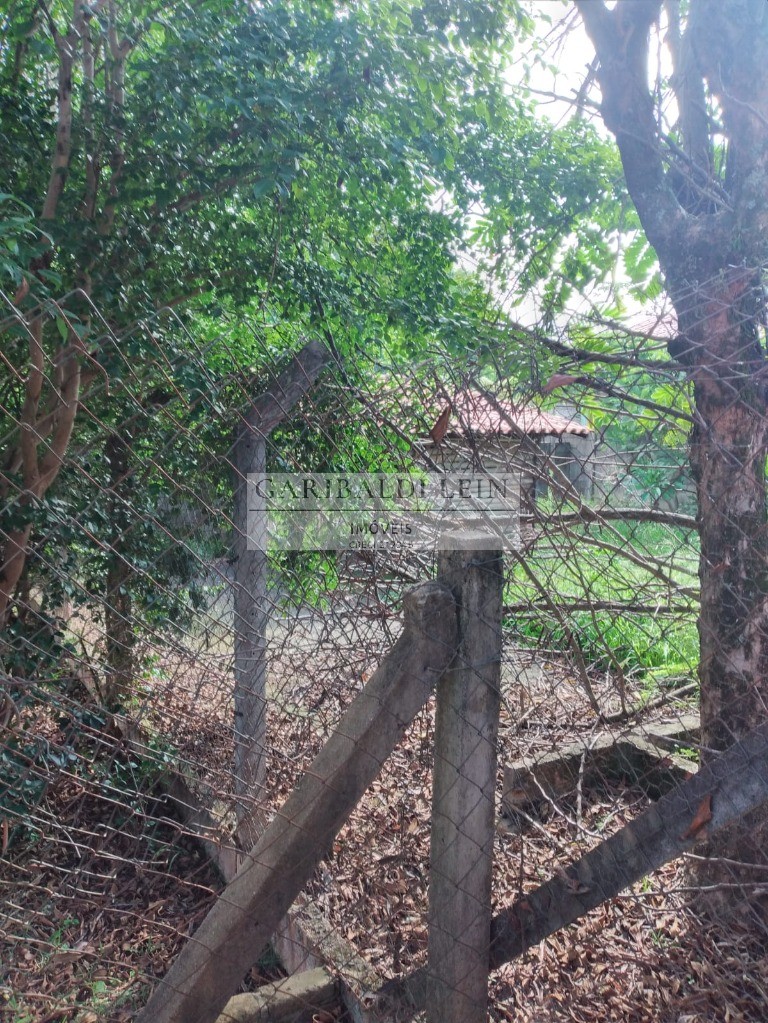 Casa, 4 quartos, 182 m² - Foto 24