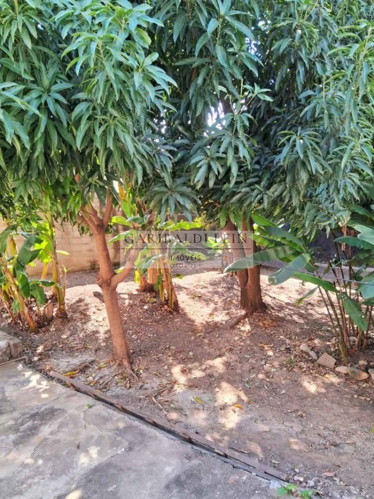 Casa, 4 quartos, 167 m² - Foto 3