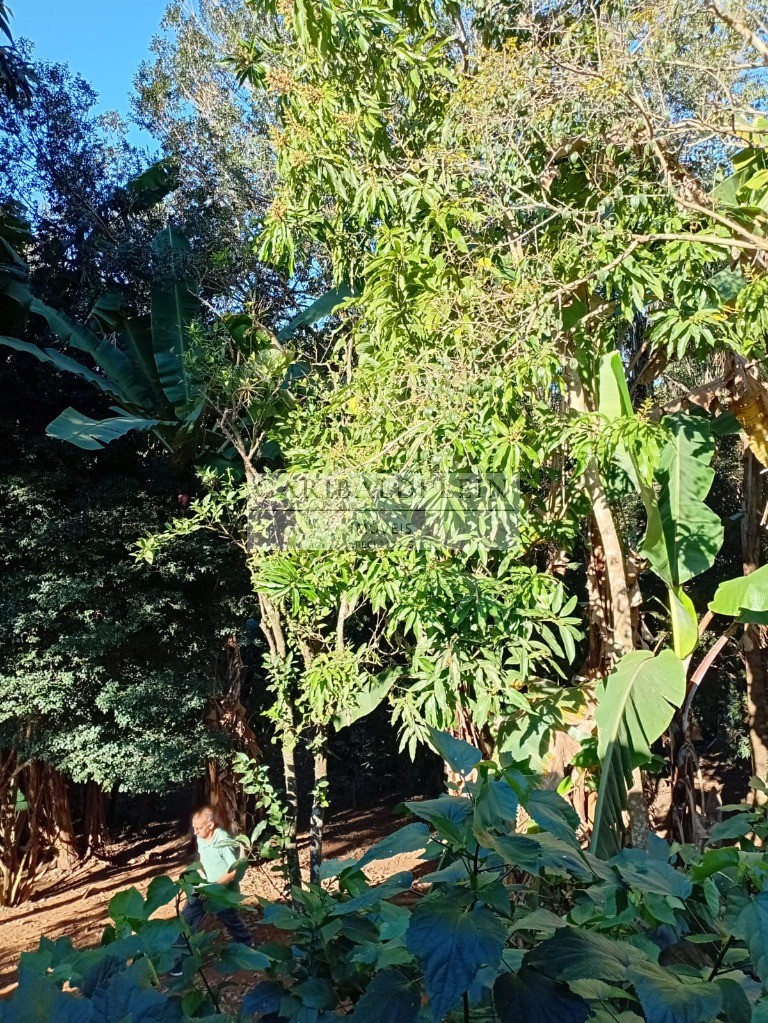 Chacara rural em tuiuti - sp, bairro dos machados - foto 26