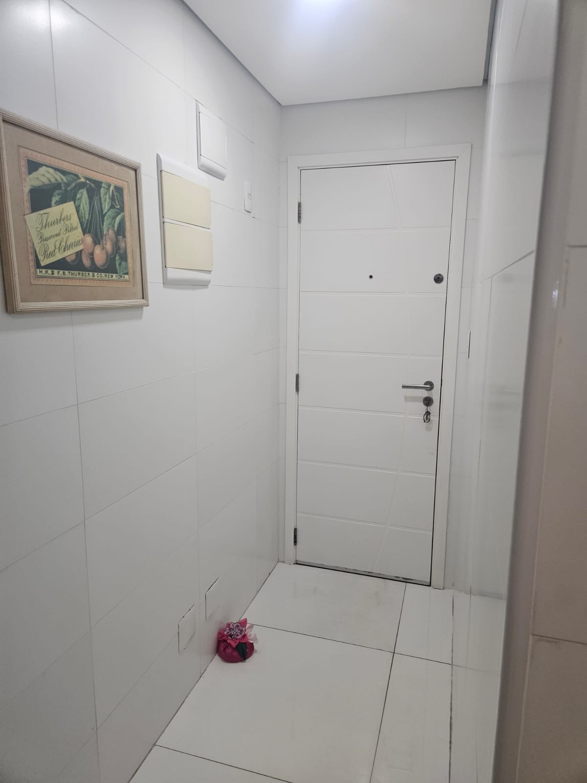 Apartamento, 3 quartos, 255 m² - Foto 29