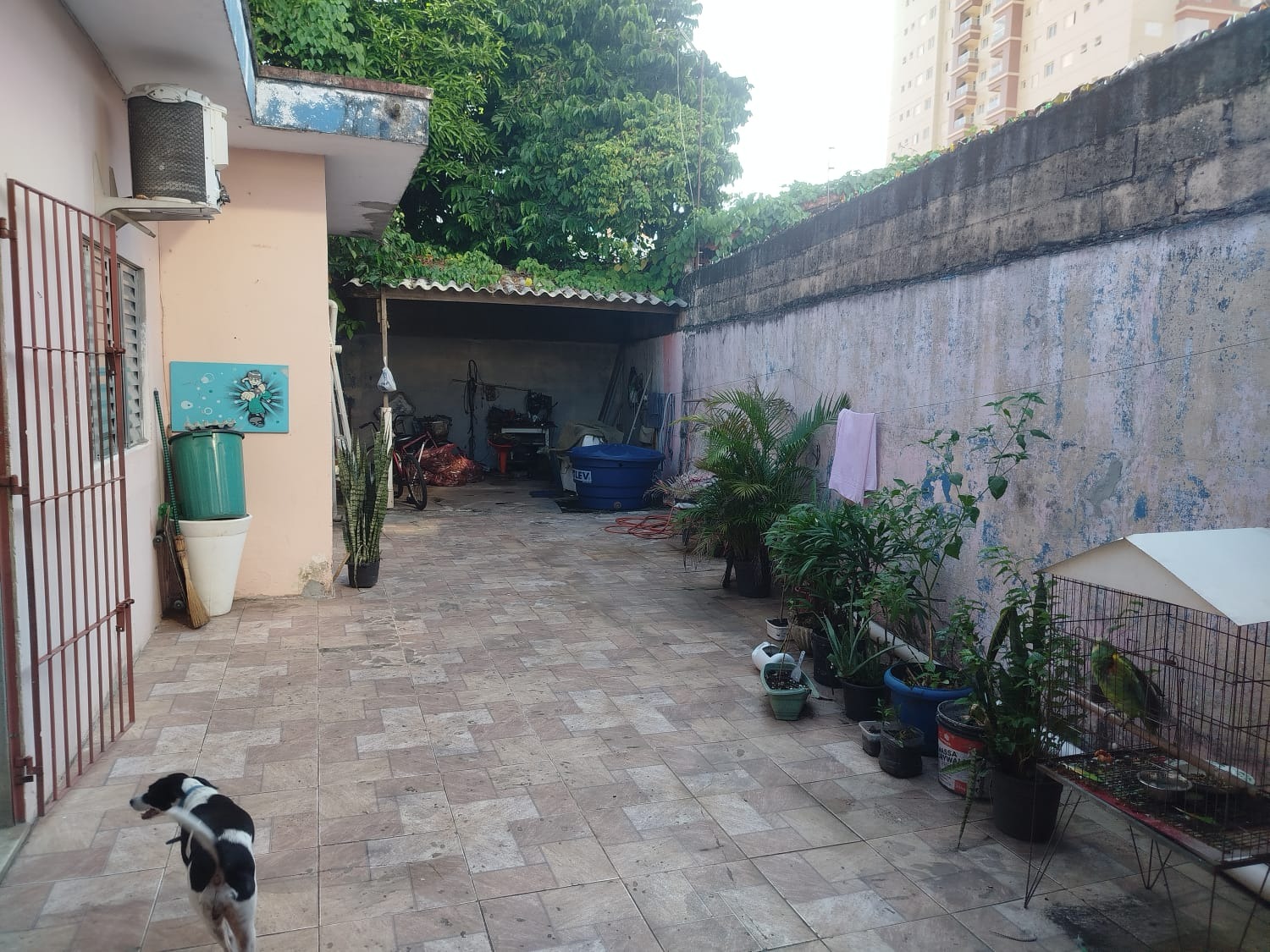 Casa, 2 quartos, 200 m² - Foto 12