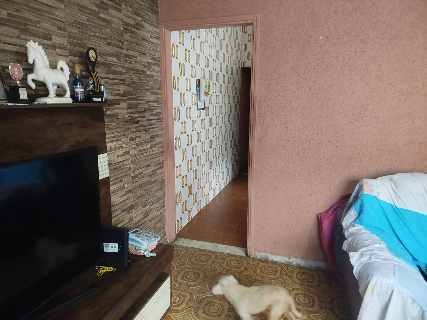 Casa, 2 quartos, 200 m² - Foto 5