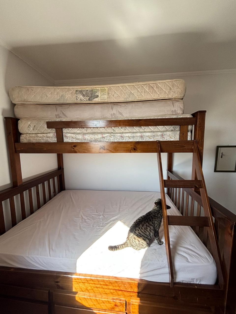 Apartamento, 3 quartos, 89 m² - Foto 27