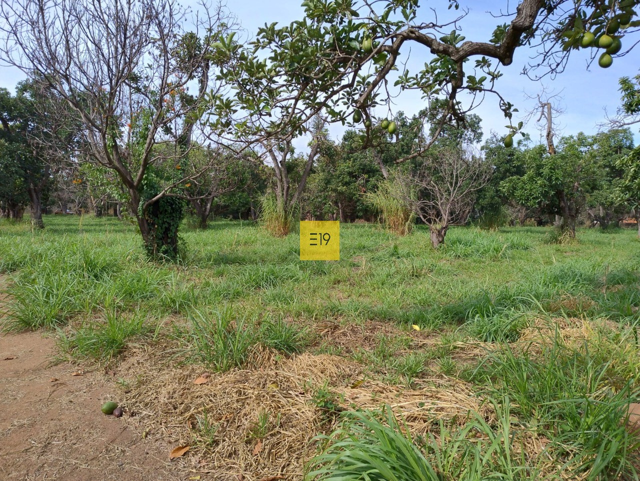 Terreno, 14100 m² - Foto 3