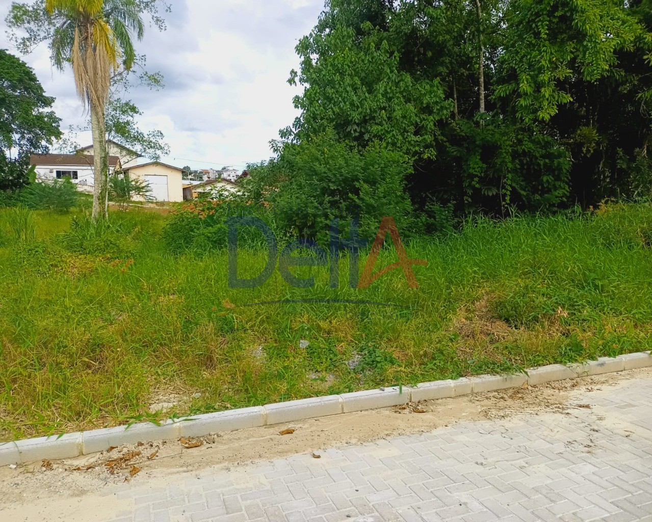 Lote para Comprar em Nova Brasília - Joinville - SC