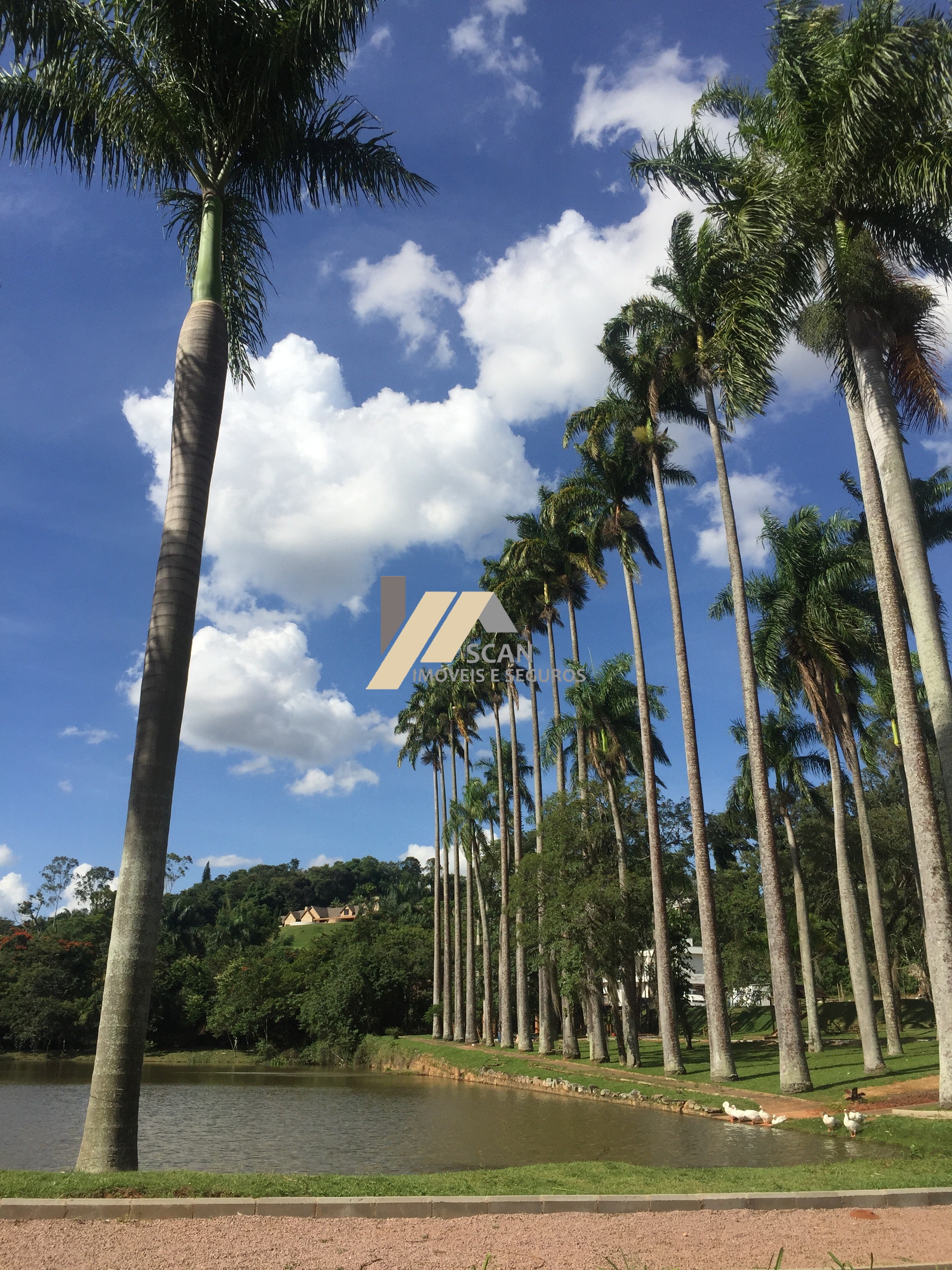 Lote/Terreno de 462m² no bairro JOAPIRANGA, em Valinhos | Eu Corretor
