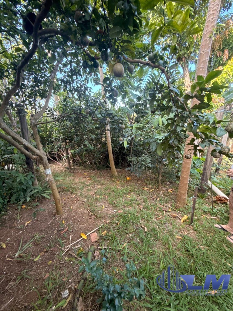 Chácara, 1 quarto, 530 m² - Foto 19