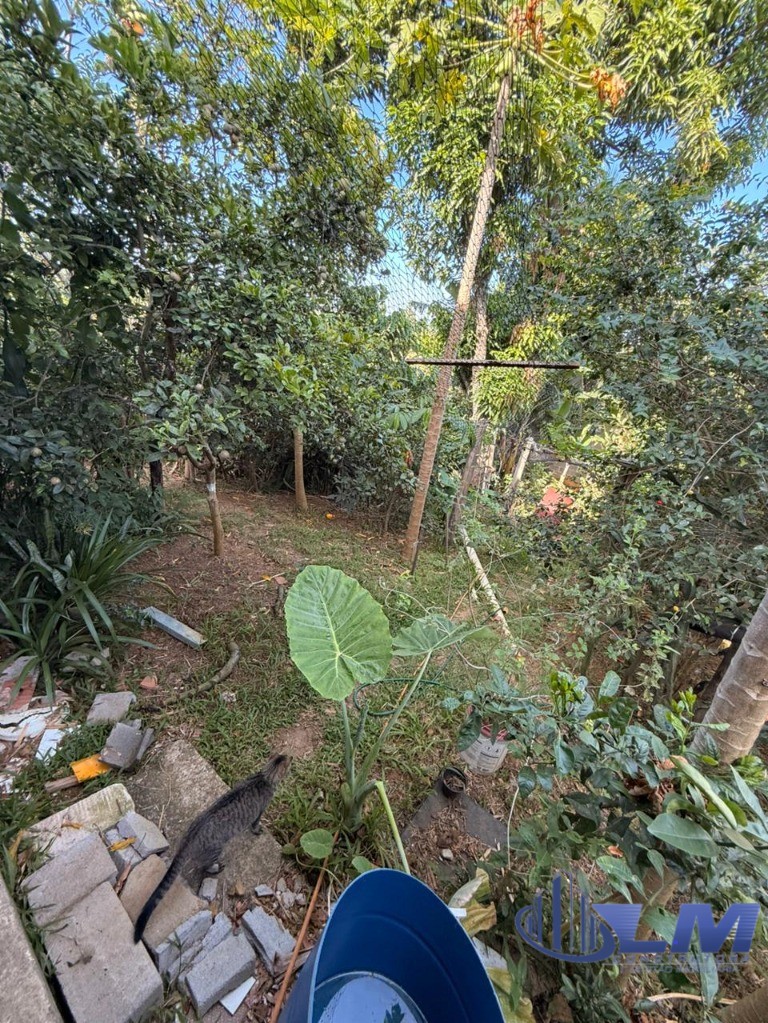 Chácara, 1 quarto, 530 m² - Foto 5