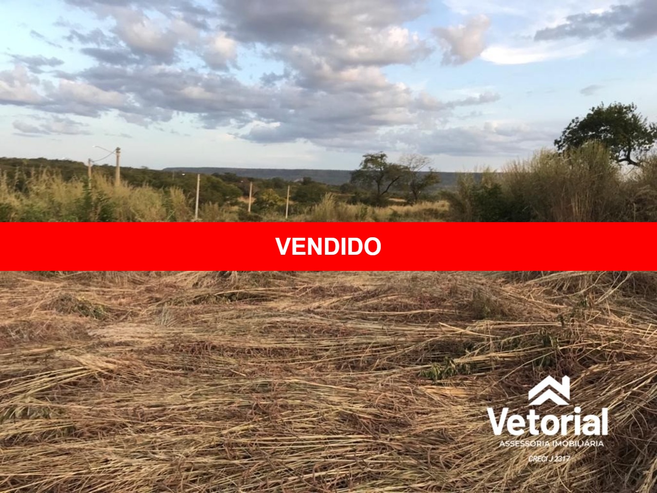 Foto principal LOTE A VENDA NO PARQUE VERDE( LEIA A DESCRIÇÃO) Foto principal LOTE A VENDA NO PARQUE VERDE( LEIA A DESCRIÇÃO)