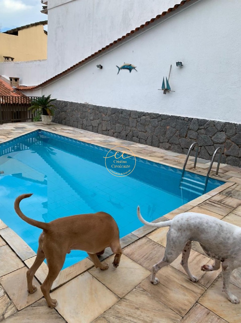 Casa, 5 quartos, 500 m² - Foto 10
