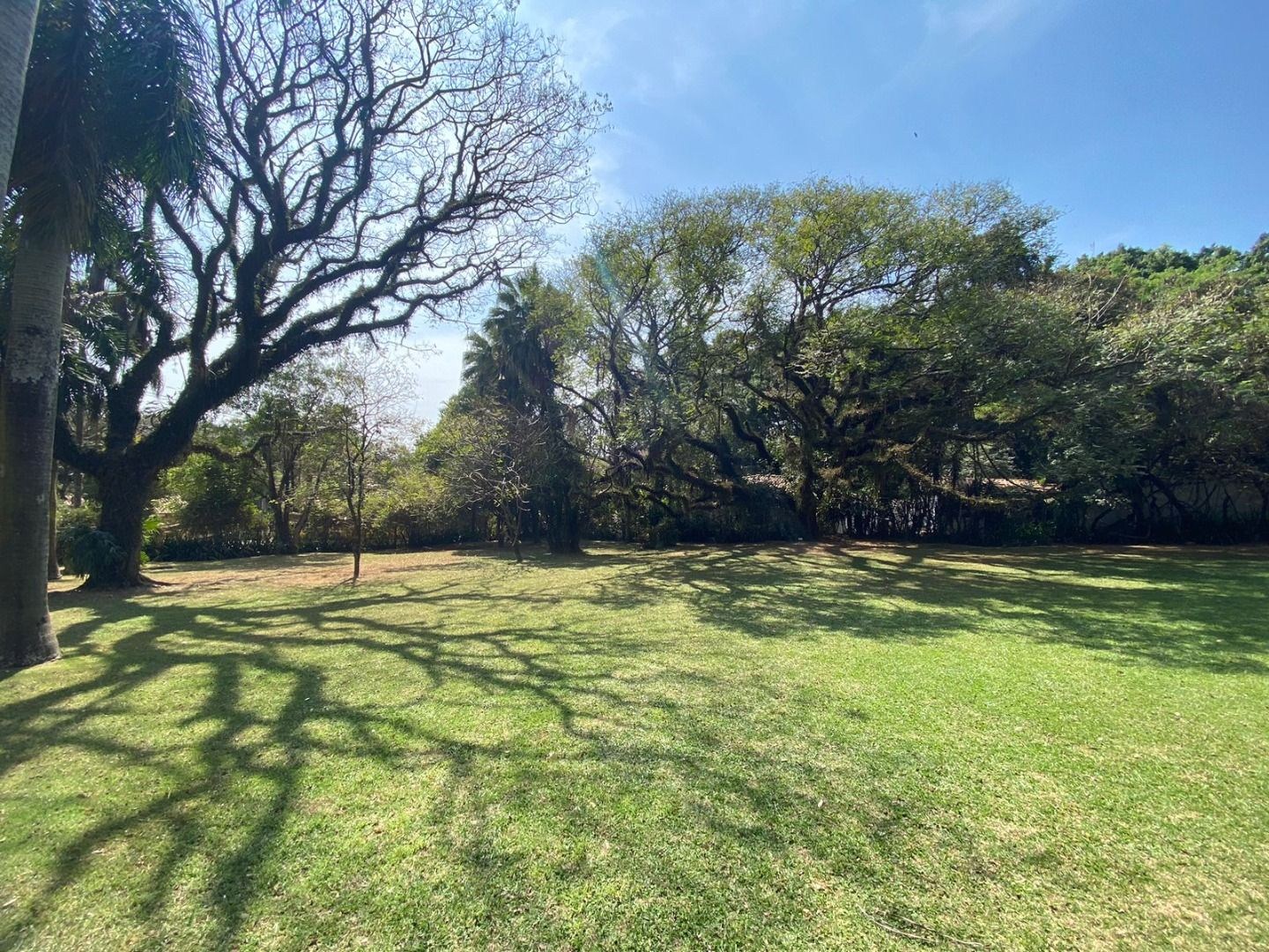 Sítio, 4 quartos, 1 hectares - Foto 7