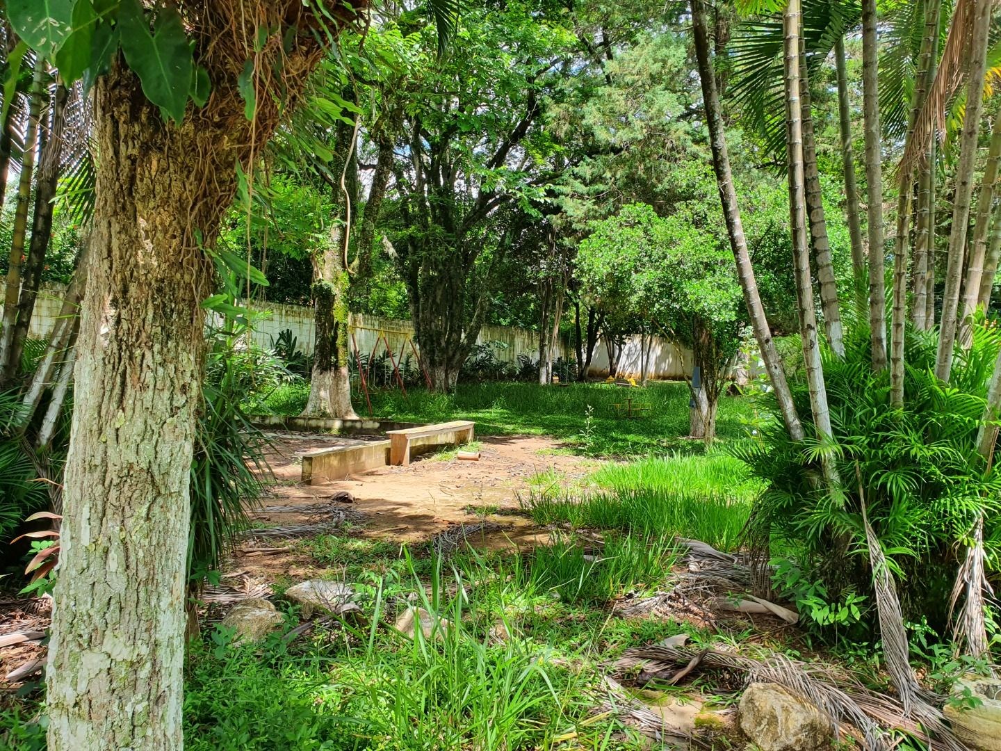 Loteamento e Condomínio, 1 hectares - Foto 138
