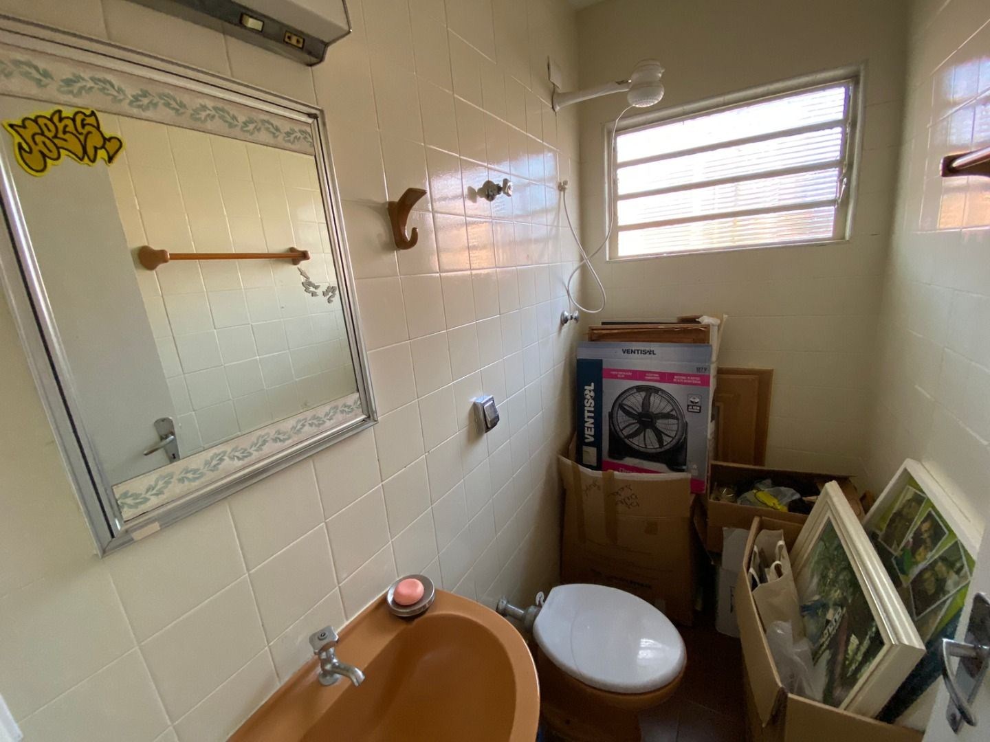 Sítio, 3 quartos, 1000 m² - Foto 15