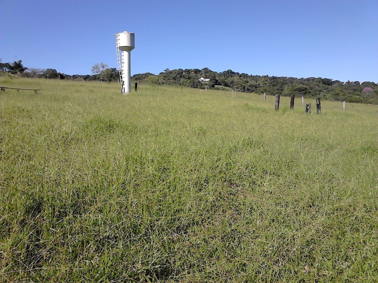 Terreno, 3 hectares - Foto 2