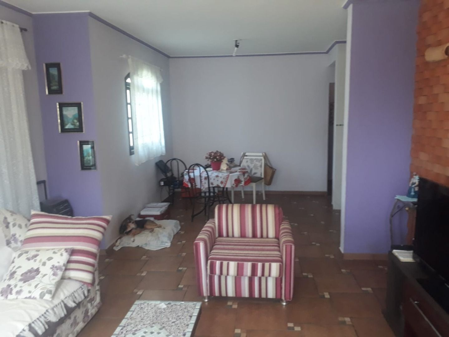 Sítio, 3 quartos, 1360 m² - Foto 11