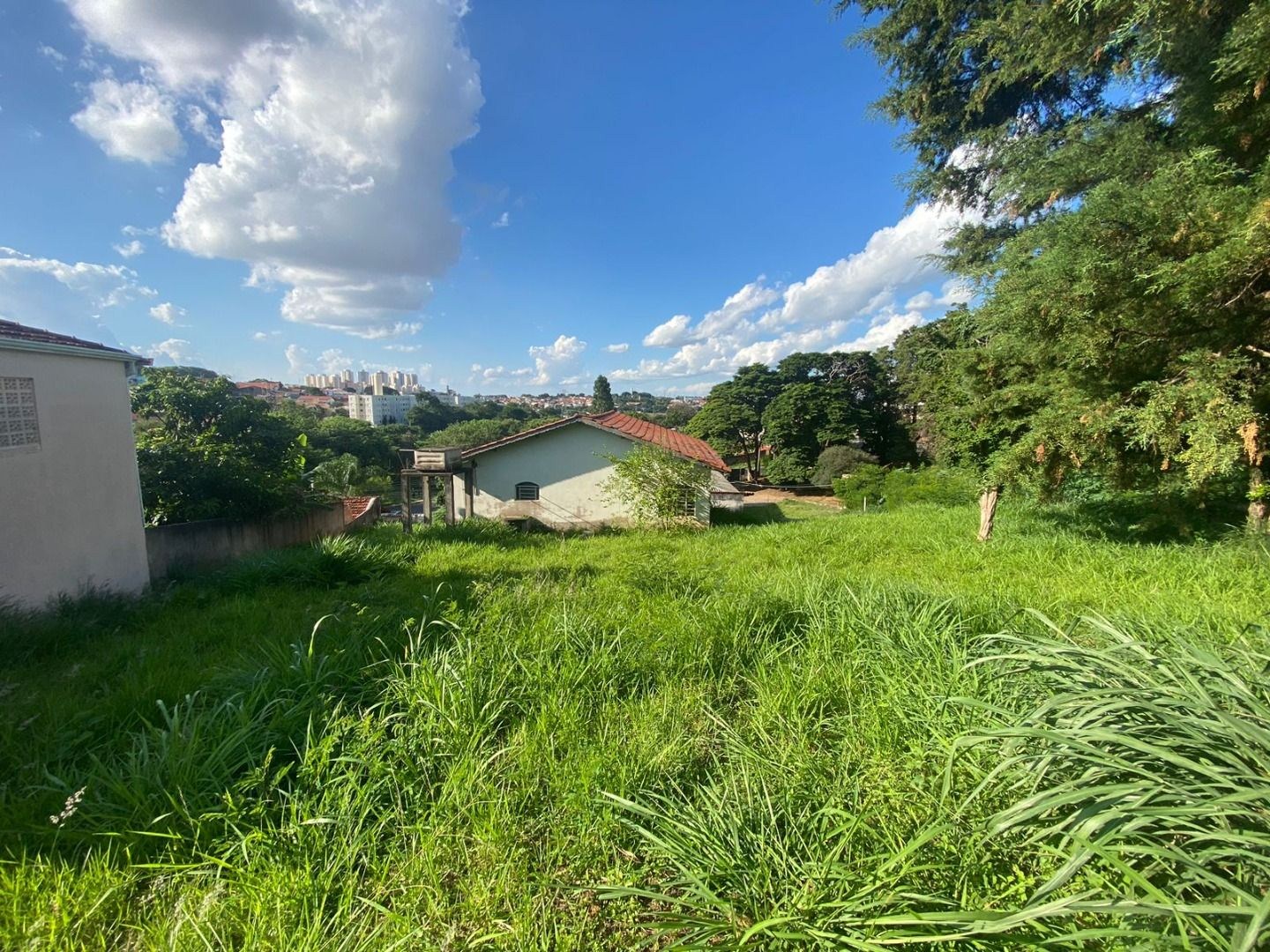 Terreno, 4458 m² - Foto 4