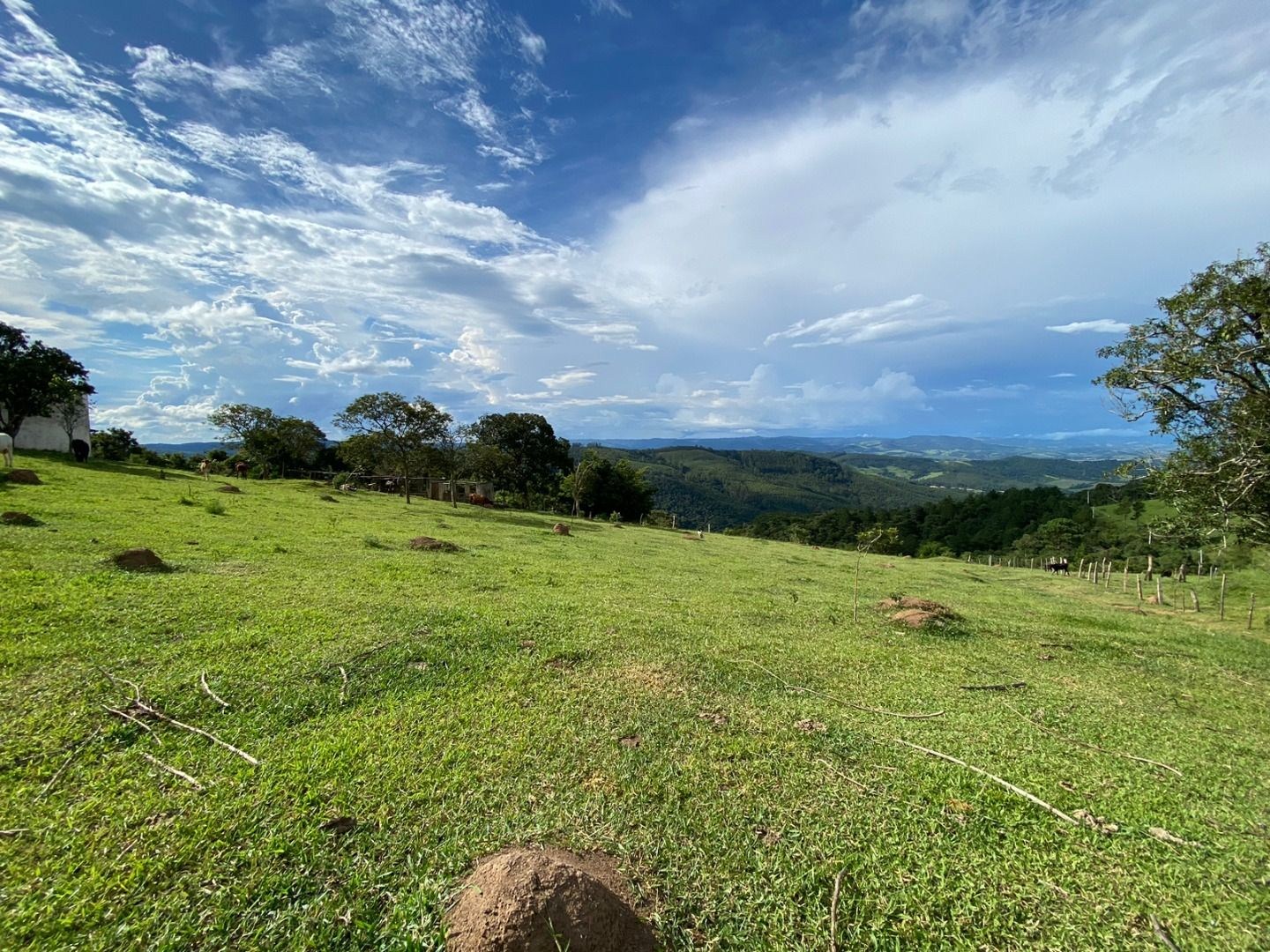 Fazenda, 3 hectares - Foto 11