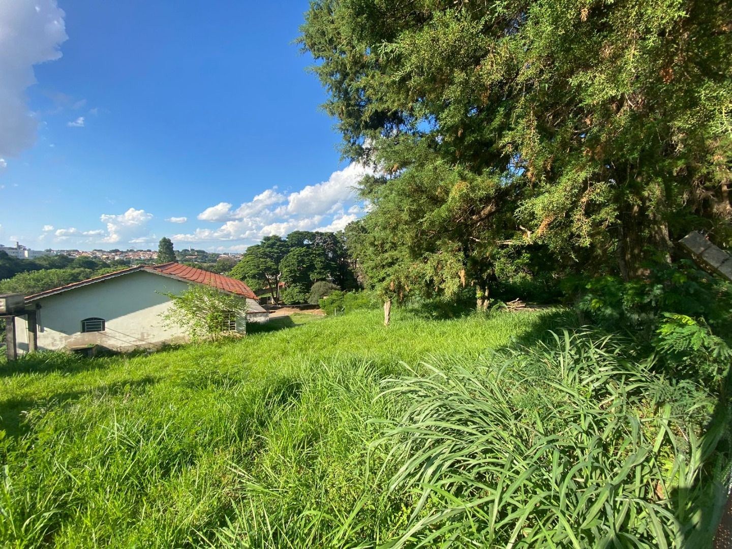 Terreno, 4458 m² - Foto 6