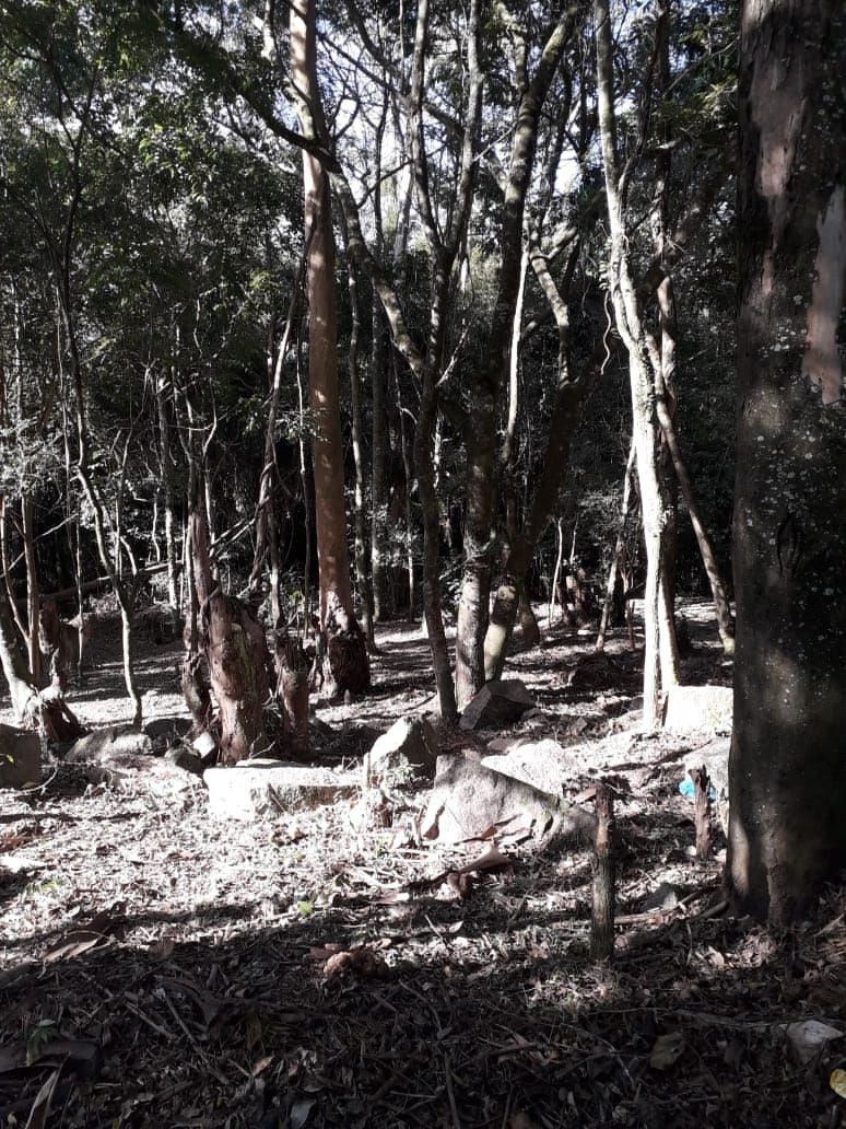 Terreno, 1000 m² - Foto 4