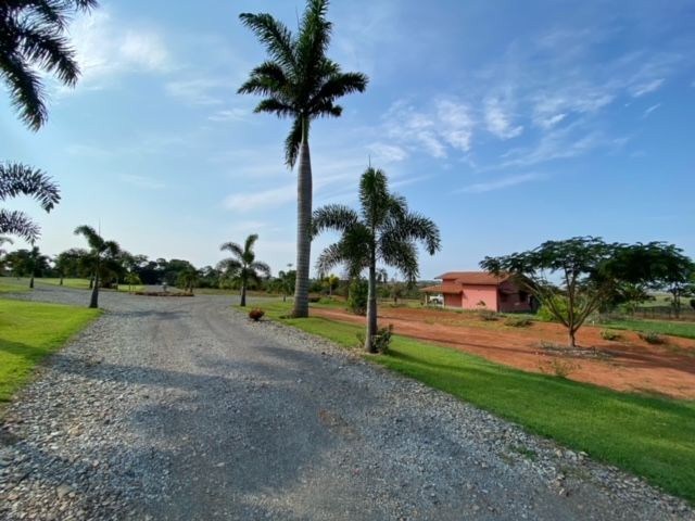 Sítio, 2 quartos, 7 hectares - Foto 3