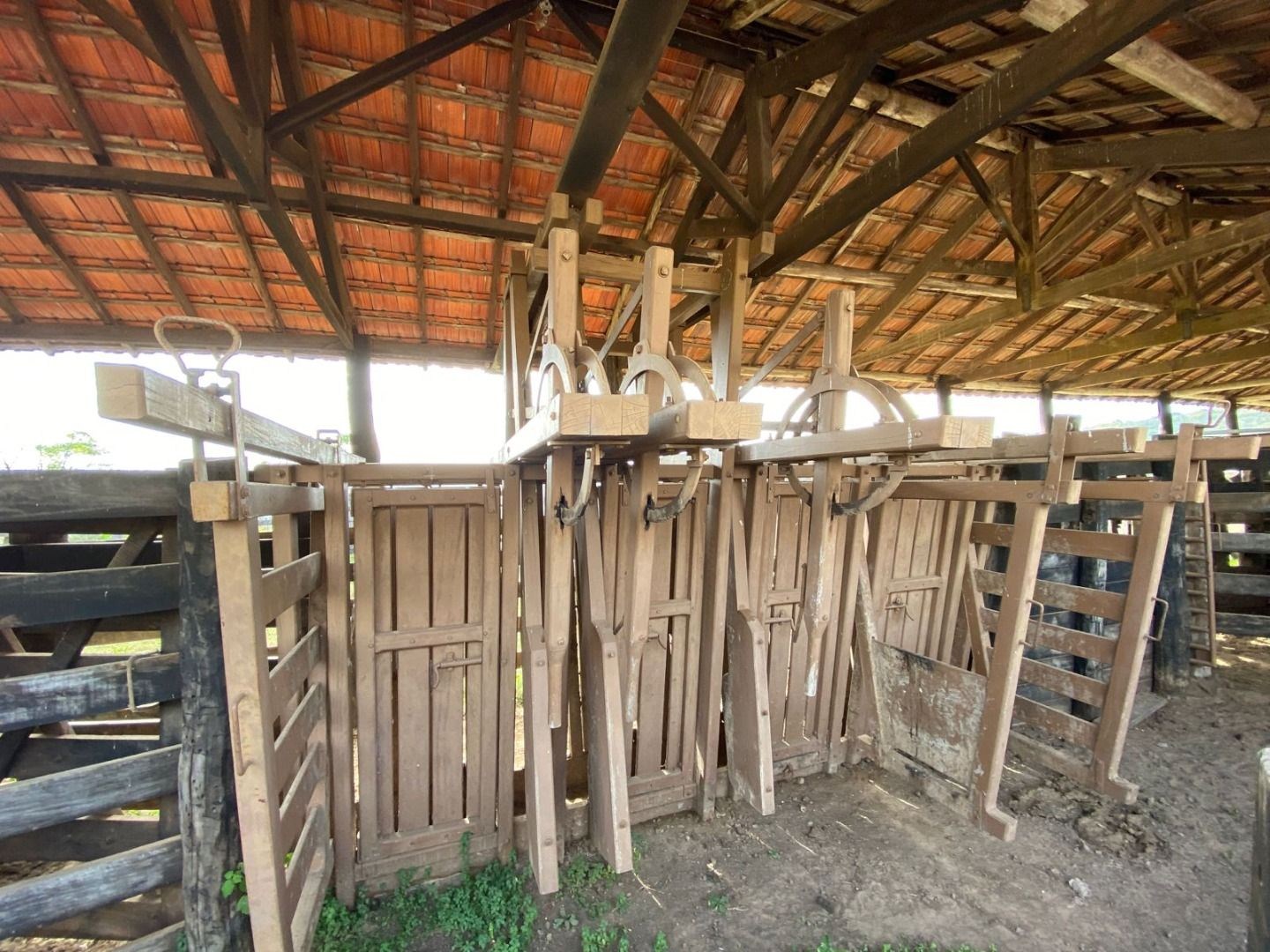 Fazenda, 404 hectares - Foto 18