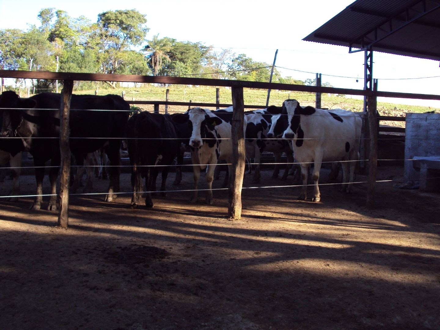 Fazenda, 28 hectares - Foto 67