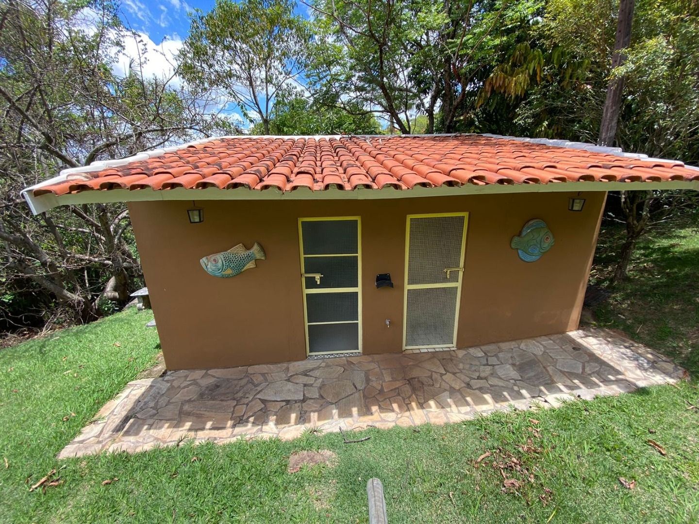 Sítio, 5 quartos, 5000 m² - Foto 38