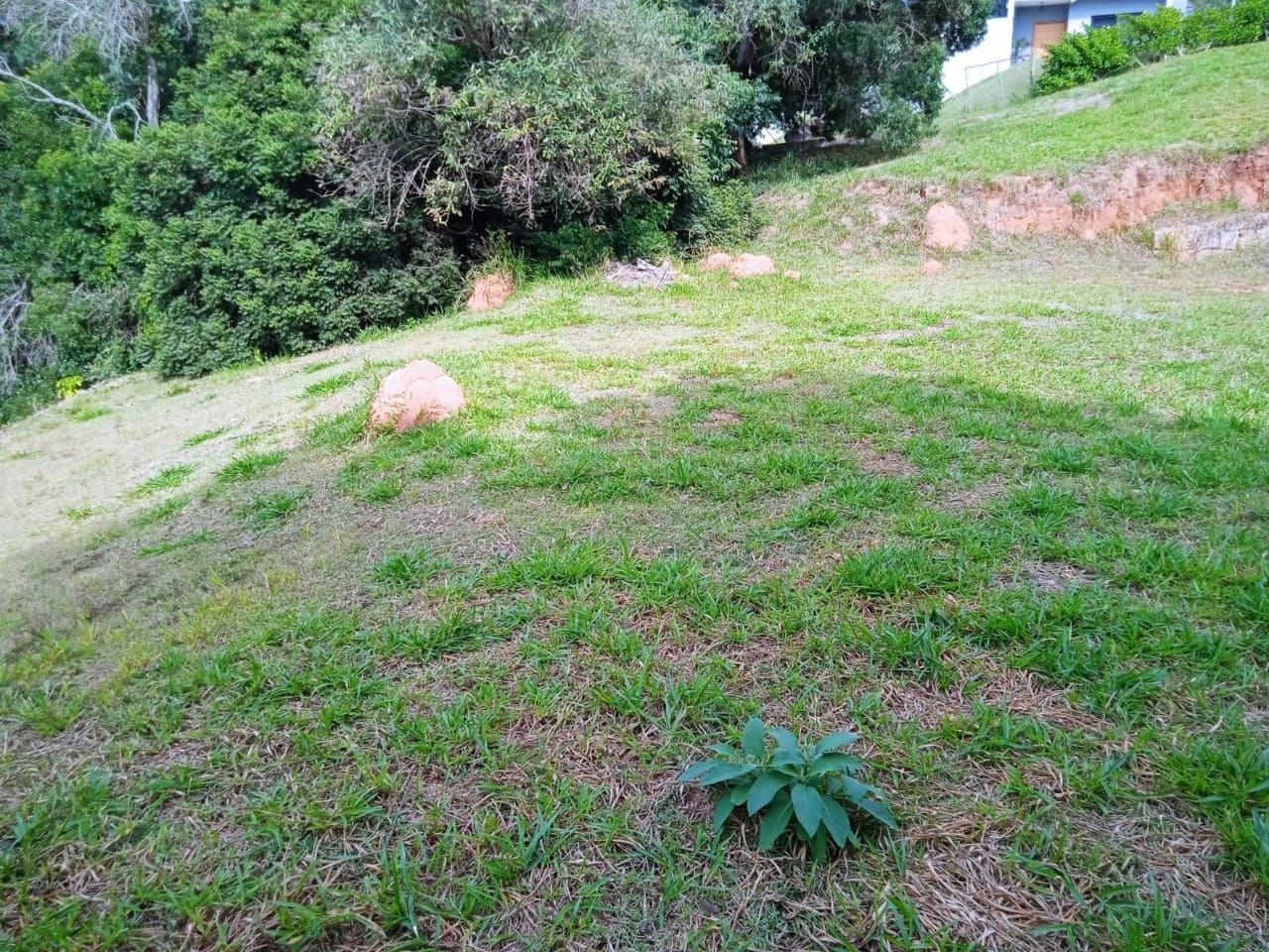 Terreno, 1736 m² - Foto 8