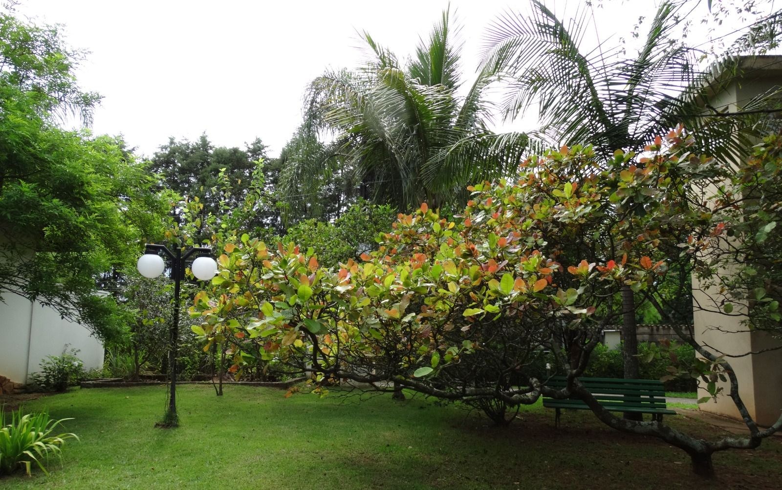 Casa, 4 quartos - Foto 44