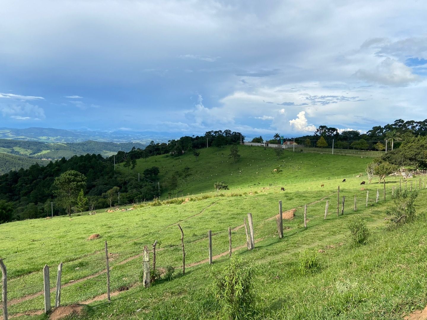 Fazenda, 3 hectares - Foto 19