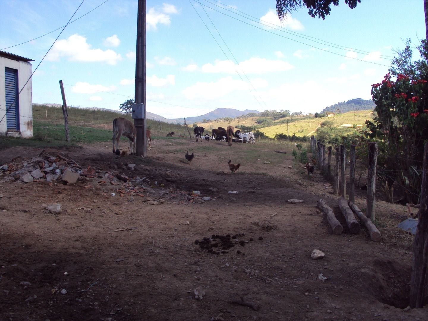 Fazenda, 28 hectares - Foto 20