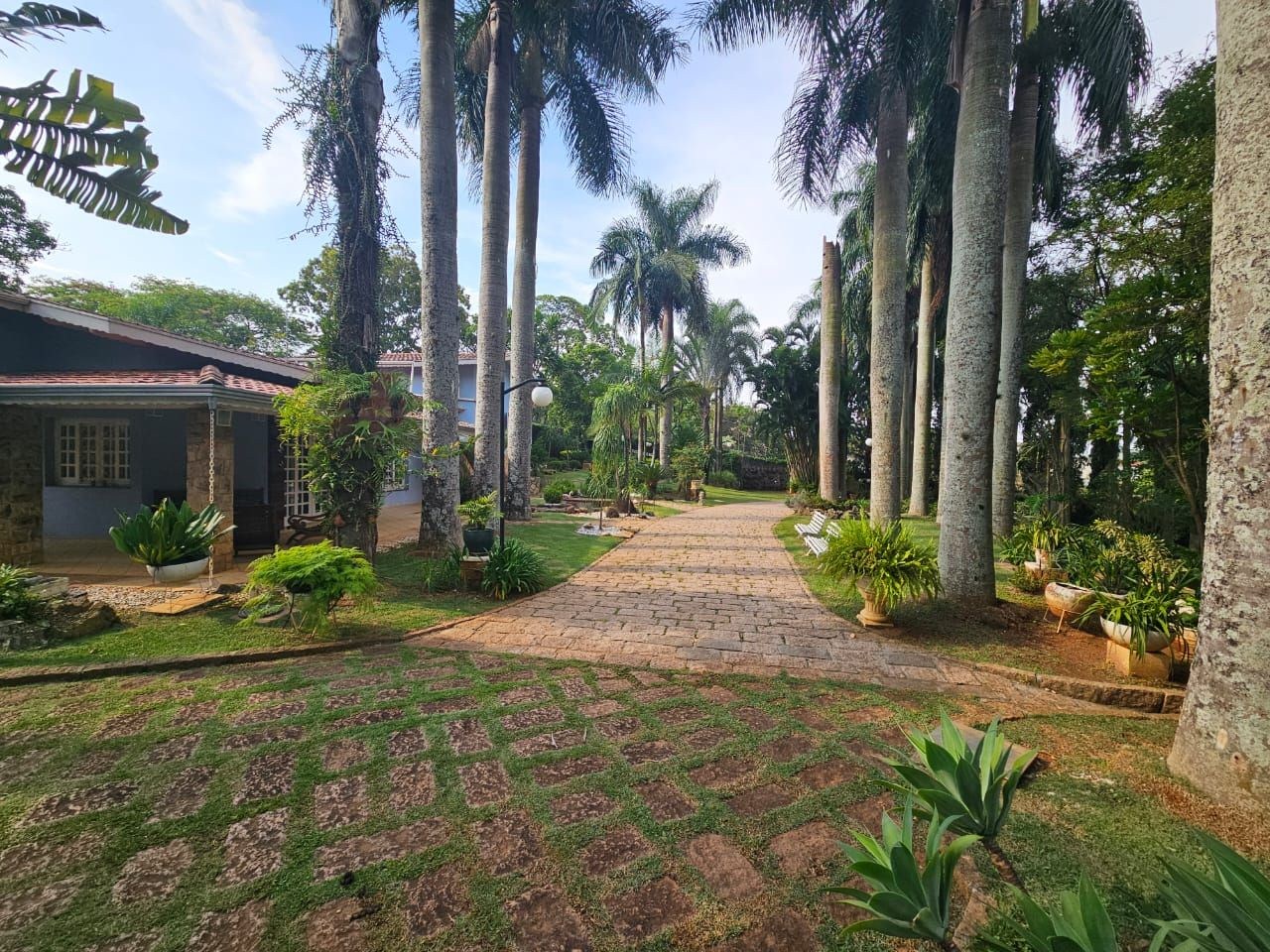 Sítio, 4 quartos, 5000 m² - Foto 2