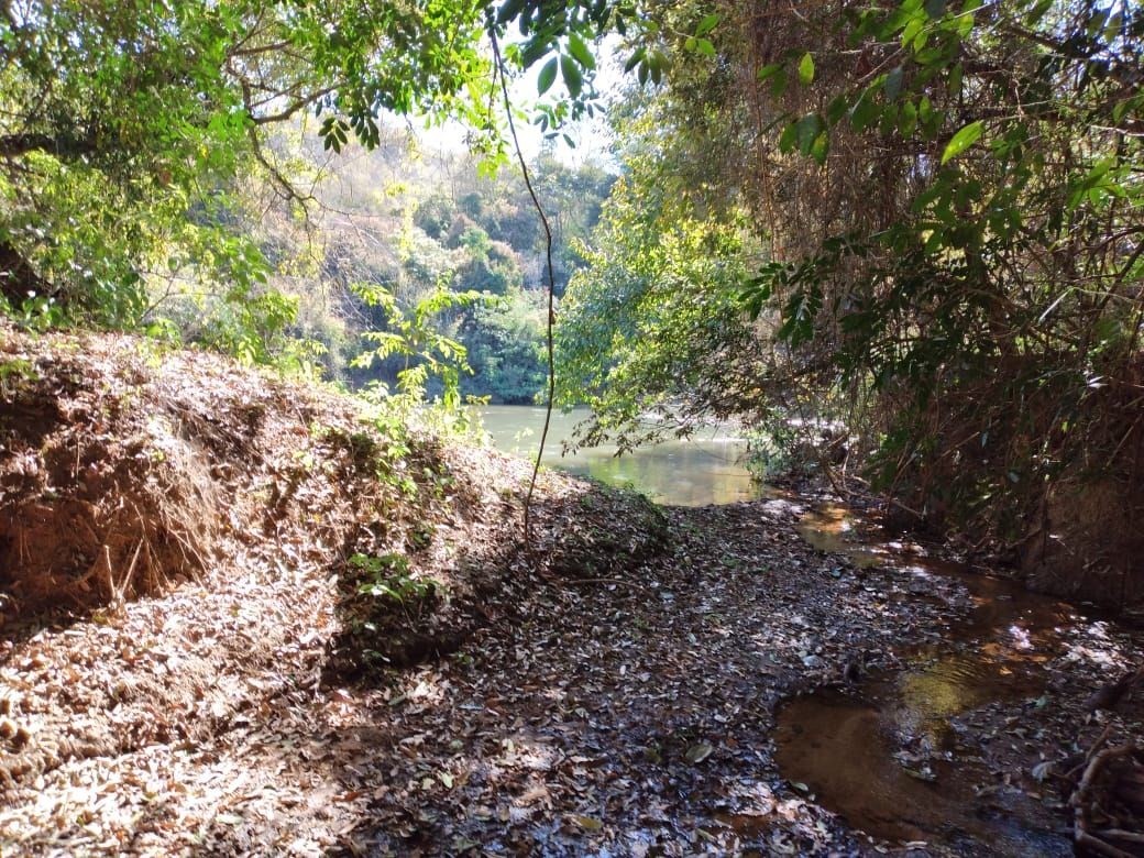 Terreno, 2 hectares - Foto 18
