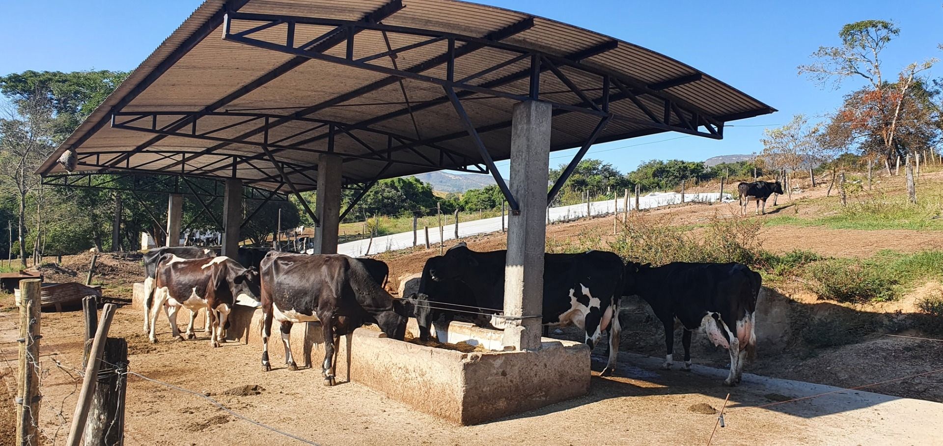 Fazenda, 28 hectares - Foto 71