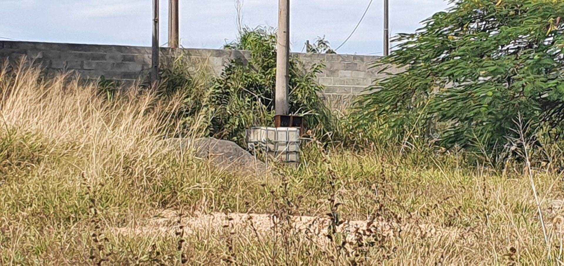 Depósito-Galpão - Foto 5