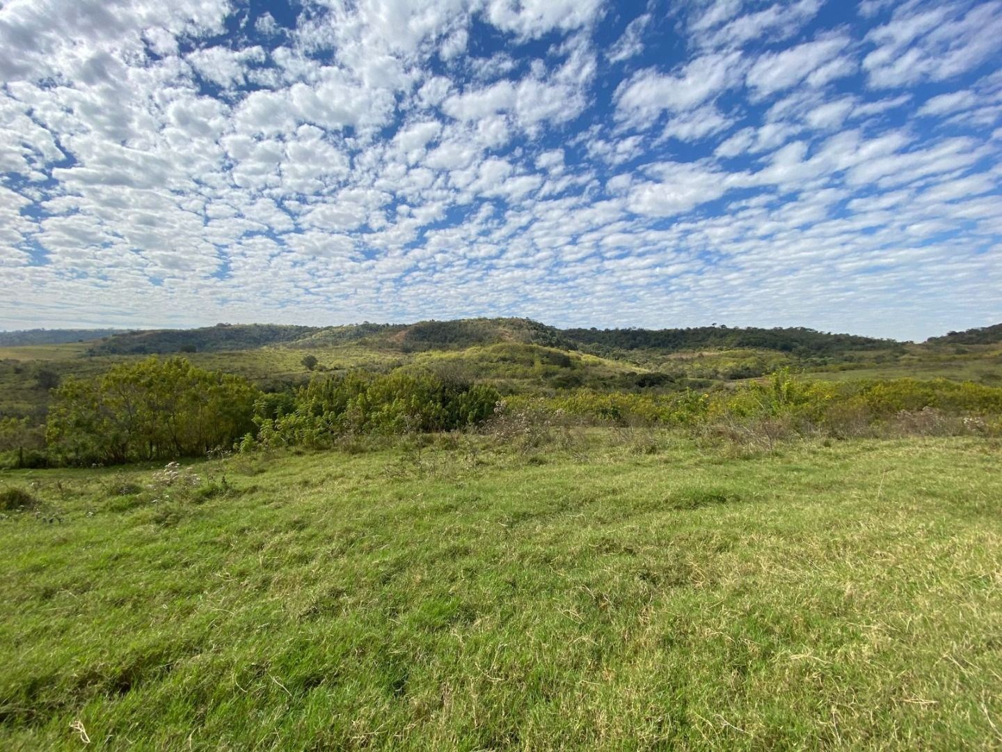 Fazenda, 404 hectares - Foto 24