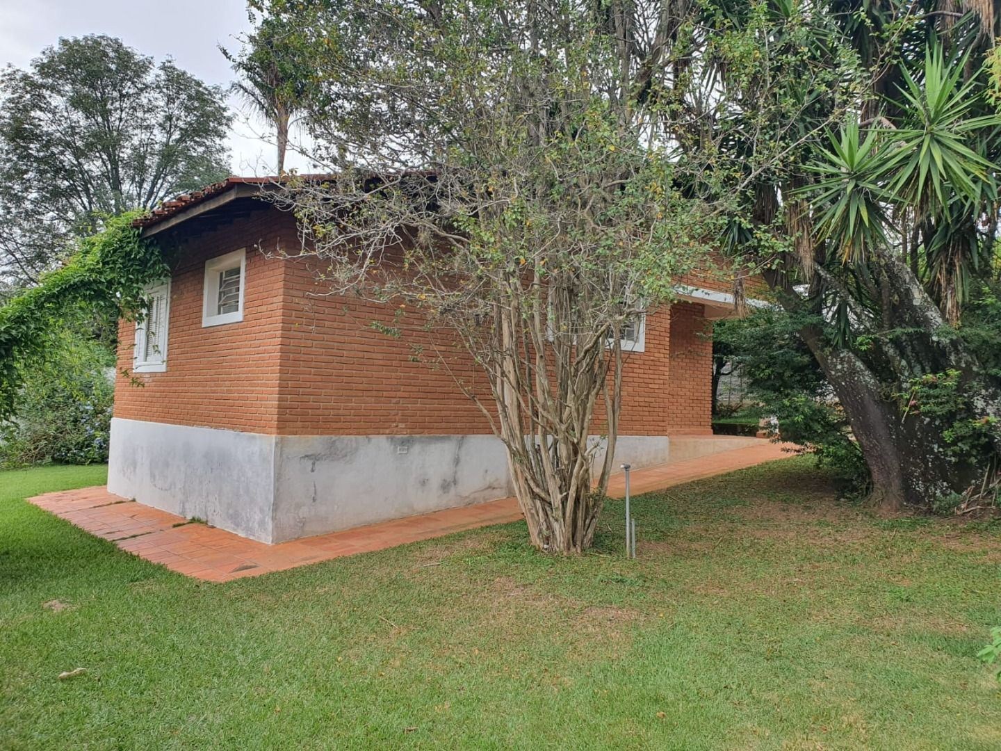 Sítio, 3 quartos, 4400 m² - Foto 20